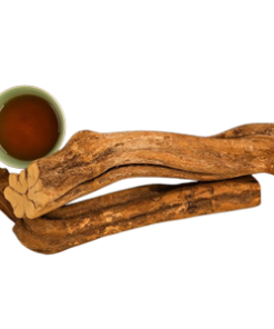 Ayahuasca